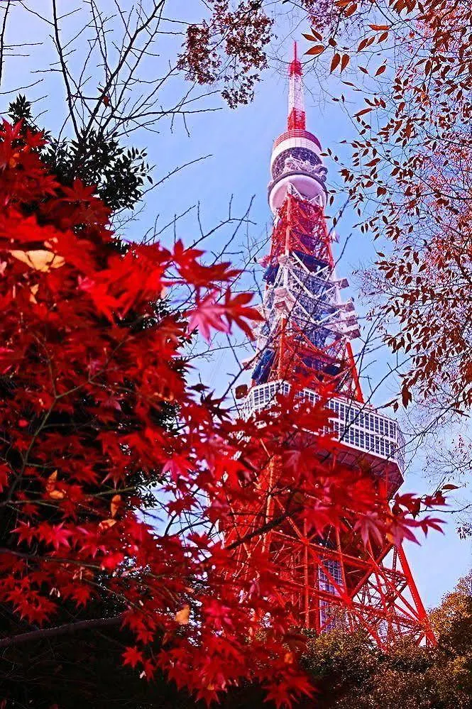 カプセルホテル ファーストキャビン愛宕山 東京都 日本