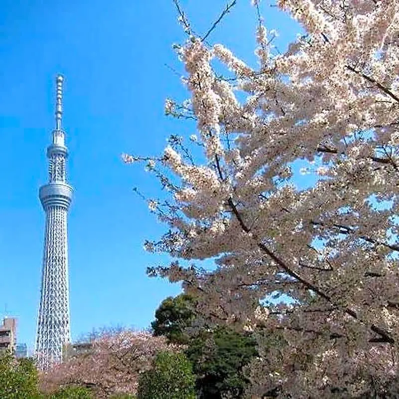 カプセルホテル ファーストキャビン愛宕山 東京都